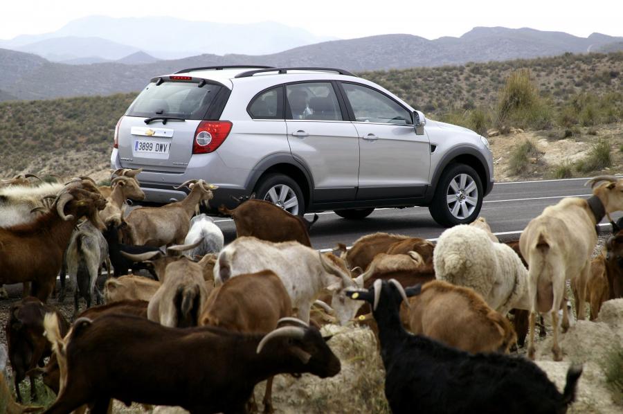  Chevrolet Captiva 2006 года  (фото 140 из 159)